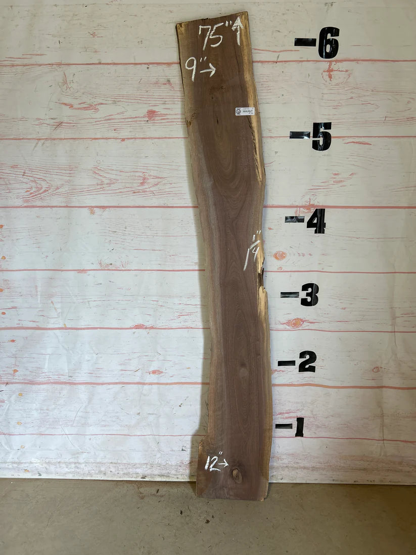 Live Edge Wood Slabs